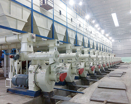 GEMCO Ring Die Pellet Mill: A Large Industrial Pellet Equipment for Pellet  Plant