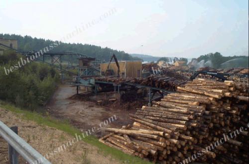 Log wood