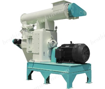 Pellet Mill VS Briquette Machine