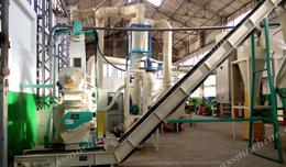 1-1.2T/H Sawdust Pellet Line in Italy