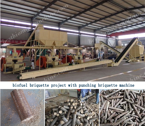 biofuel briquette project with punching briquette machine