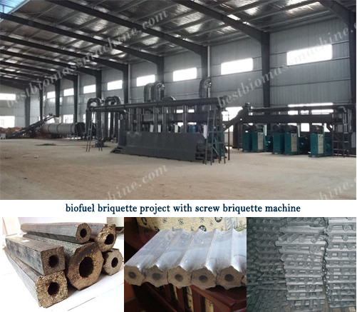 biofuel briquette project with screw briquette machine