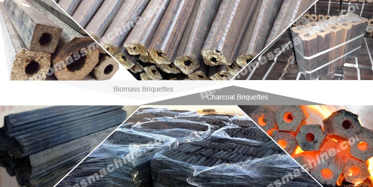 biomass or wood briquettes VS charcoar briquettes