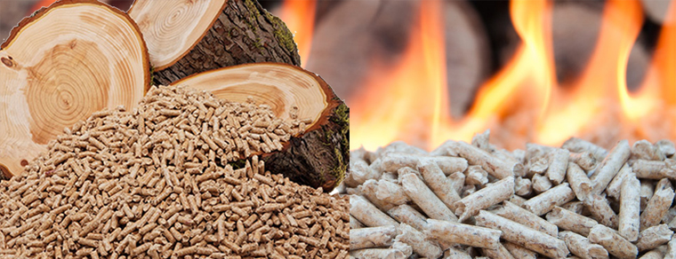 biomass solid wood pellet made by wood pelleting plant