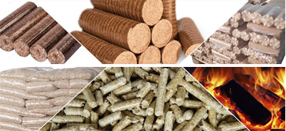 finished products by briquette machine