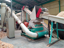 hammer mill in pellet mill plant