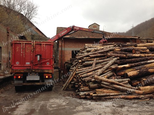 log pine spruce