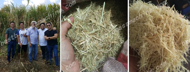 material for elephant grass pellet plant