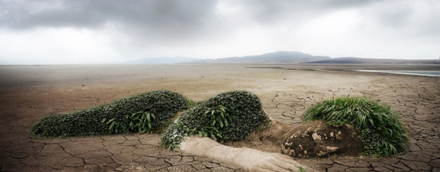 new energy resource for replacing the fossil fuel