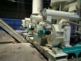 pellet machine ring die