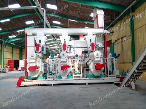 pellet mill for sawdust pellet production plant