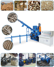 punching briquette machine plant