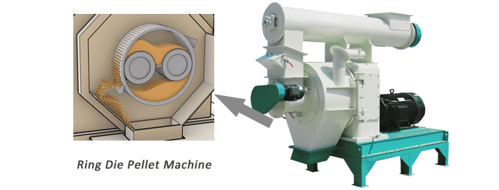 ring die pellet manufacturing machine