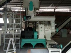Best Wood Pellet Mill with High Quality for Sale