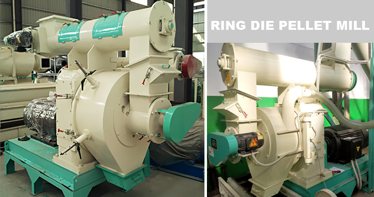 ring die wood pelletizer machine